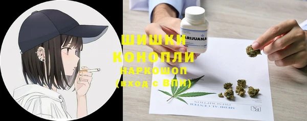 гашик Белоозёрский