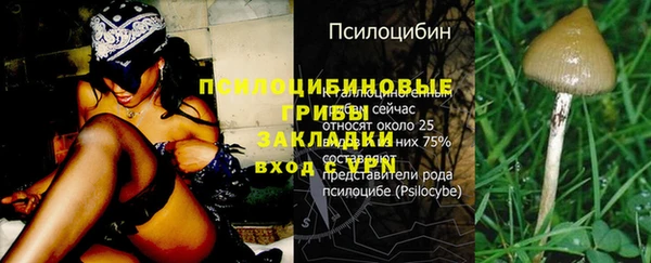 ешки Беломорск