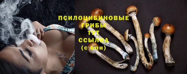 трава Белокуриха