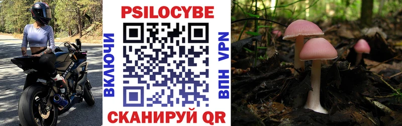 Псилоцибиновые грибы MAGIC MUSHROOMS Купить Белая Калитва